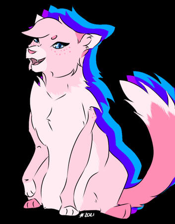 Catsona Comm Catsona Comm