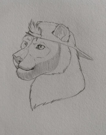 Headshot Sketch Headshot Sketch