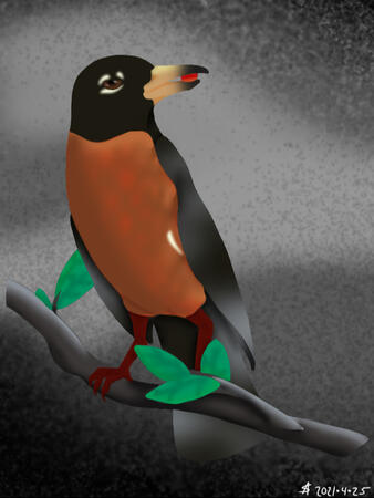 Lineless Attempt - Bird & Berry Lineless Attempt - Bird & Berry