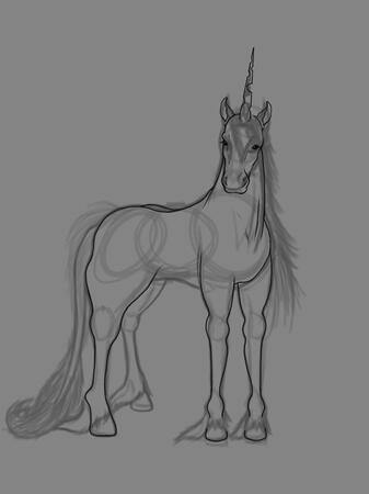 Unicorn Sketch
