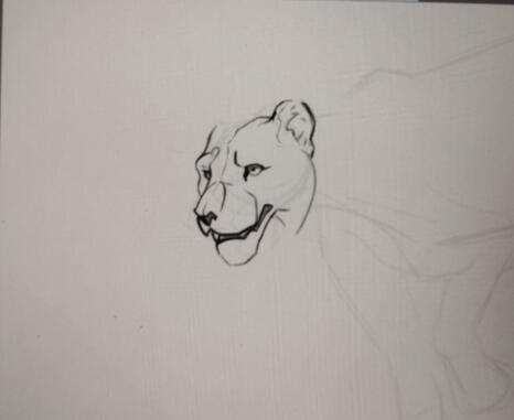 Lioness WIP
