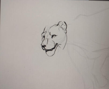 Lioness WIP Lioness WIP